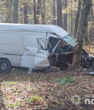 На-Волині-судитимуть-чоловіка,-з-вини-якого-в-аварії-загинув-його-5-місячний-син