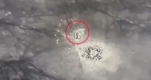 Просвітницький проект «13 йобликів.ввт» частина 16. (ВІДЕО) Просвітницький проект «13 йобликів.ввт» частина 16. (ВІДЕО)