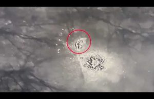 Просвітницький проект «13 йобликів.ввт» частина 16. (ВІДЕО) Просвітницький проект «13 йобликів.ввт» частина 16. (ВІДЕО)