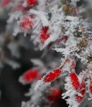 Переважно-без-опадів,-подекуди-до-9°-тепла:-прогноз-на-18-грудня