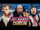 КОЗА, ЧОРТИ, ЧОЛОВІКИ У СУКНЯХ: що таке Маланка і як її святкують українці (ВІДЕО) КОЗА, ЧОРТИ, ЧОЛОВІКИ У СУКНЯХ: що таке Маланка і як її святкують українці (ВІДЕО)