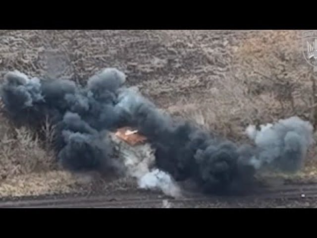 Хробачий жах: працює нічний доктор Птахів Мадяра,- погляд з бліндажу (ВІДЕО) Хробачий жах: працює нічний доктор Птахів Мадяра,- погляд з бліндажу (ВІДЕО)