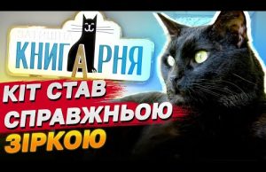 У Рівному з’явився КІТ, ЩО ОТРИМУЄ ЗАРПЛАТНЮ! (ВІДЕО) У Рівному з’явився КІТ, ЩО ОТРИМУЄ ЗАРПЛАТНЮ! (ВІДЕО)