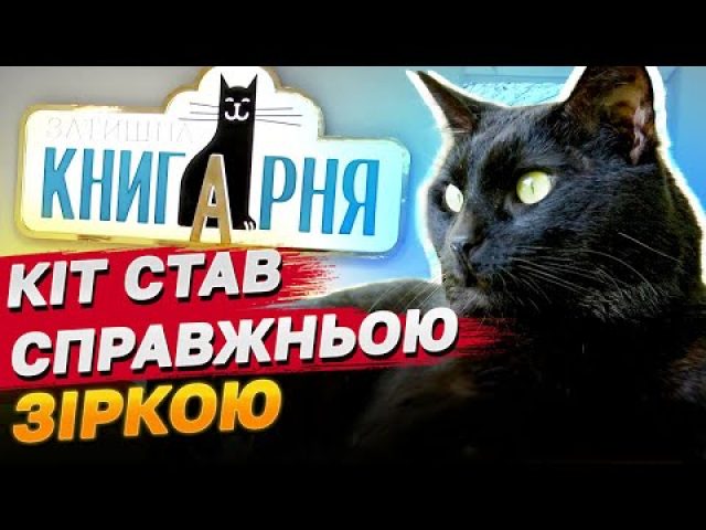 У Рівному з’явився КІТ, ЩО ОТРИМУЄ ЗАРПЛАТНЮ! (ВІДЕО) У Рівному з’явився КІТ, ЩО ОТРИМУЄ ЗАРПЛАТНЮ! (ВІДЕО)
