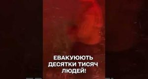 ЕКСТРЕНО! У Лос-Анджелесі голосили НАДЗВИЧАЙНИЙ СТАН! (ВІДЕО) ЕКСТРЕНО! У Лос-Анджелесі голосили НАДЗВИЧАЙНИЙ СТАН! (ВІДЕО)