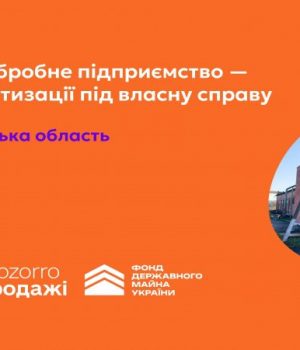 Фонд-держмайна-виставив-на-приватизацію-колишнє-деревообробне-підприємство-на-Волині