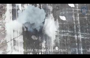 Очі та Жало: рідини хробачої у КуНР трохи попсуто Птахами протягом 5 місяців. (ВІДЕО) Очі та Жало: рідини хробачої у КуНР трохи попсуто Птахами протягом 5 місяців. (ВІДЕО)