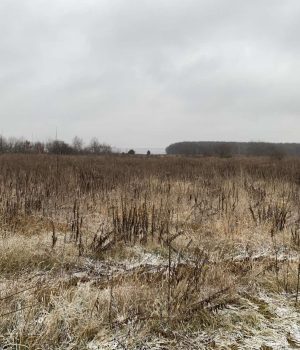 Волиньрада-віддає-в-оренду-10-гектарів-комунальної-землі-біля-Луцька