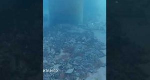 Дрон відзняв МАЗУТ на дні Чорного моря (ВІДЕО) Дрон відзняв МАЗУТ на дні Чорного моря (ВІДЕО)