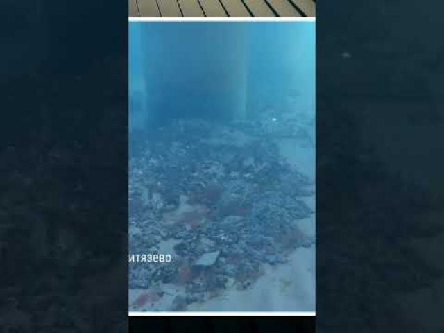 Дрон відзняв МАЗУТ на дні Чорного моря (ВІДЕО) Дрон відзняв МАЗУТ на дні Чорного моря (ВІДЕО)