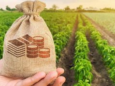 З лютого 2025 року відкривається прийом заявок у Державному аграрному реєстрі З-лютого-2025-року-відкривається-прийом-заявок-у-Державному-аграрному-реєстрі