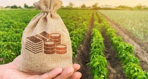 З лютого 2025 року відкривається прийом заявок у Державному аграрному реєстрі З-лютого-2025-року-відкривається-прийом-заявок-у-Державному-аграрному-реєстрі