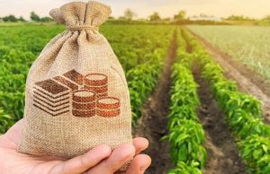 З лютого 2025 року відкривається прийом заявок у Державному аграрному реєстрі З-лютого-2025-року-відкривається-прийом-заявок-у-Державному-аграрному-реєстрі