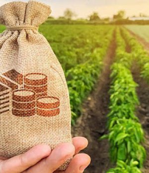 З-лютого-2025-року-відкривається-прийом-заявок-у-Державному-аграрному-реєстрі З-лютого-2025-року-відкривається-прийом-заявок-у-Державному-аграрному-реєстрі