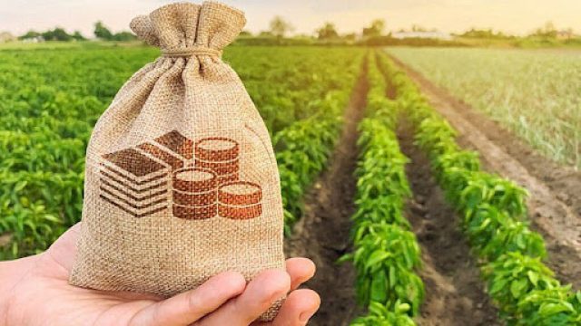 З лютого 2025 року відкривається прийом заявок у Державному аграрному реєстрі З-лютого-2025-року-відкривається-прийом-заявок-у-Державному-аграрному-реєстрі