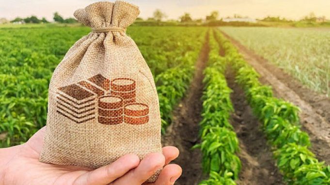 З лютого 2025 року відкривається прийом заявок у Державному аграрному реєстрі З-лютого-2025-року-відкривається-прийом-заявок-у-Державному-аграрному-реєстрі