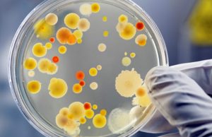 Ротавірусна інфекція: симптоми та профілактика Ротавірусна-інфекція:-симптоми-та-профілактика