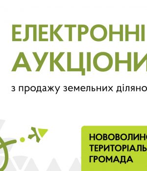 Продаж-земельних-ділянок-у-Благодатному-та-Низкиничах-Нововолинської-громади:-запрошуємо-покупців-до-участі-в-електронних.