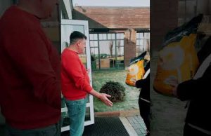 🌽 MAS Seeds: насіння, яке не жаліється на погоду! 😎 (ВІДЕО) 🌽 MAS Seeds: насіння, яке не жаліється на погоду! 😎 (ВІДЕО)