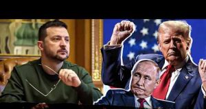 Трамп дав задню (ВІДЕО) Трамп дав задню (ВІДЕО)