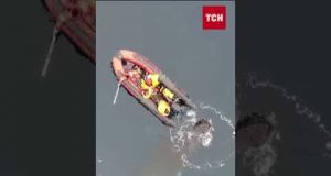 Українські полярники подружилися з грайливим китом! (ВІДЕО) Українські полярники подружилися з грайливим китом! (ВІДЕО)