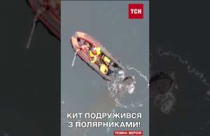 Українські полярники подружилися з грайливим китом! (ВІДЕО) Українські полярники подружилися з грайливим китом! (ВІДЕО)