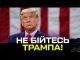 Не бійтесь Трампа! (ВІДЕО) Не бійтесь Трампа! (ВІДЕО)