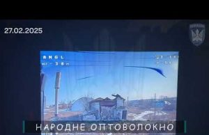 Очі та Жало вйо-day 26.02.25 (ВІДЕО) Очі та Жало вйо-day 26.02.25 (ВІДЕО)