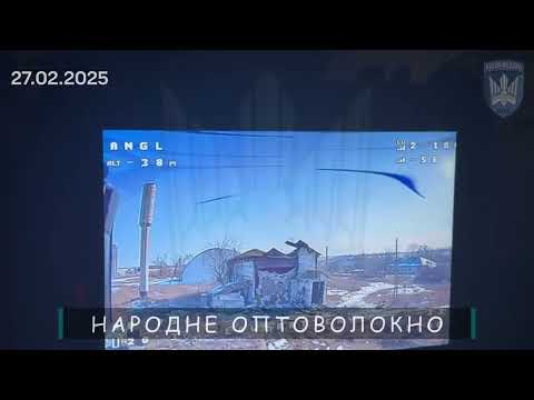 Очі та Жало вйо-day 26.02.25 (ВІДЕО) Очі та Жало вйо-day 26.02.25 (ВІДЕО)