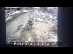 Очі та Жало вйо-day 28.02.25 (ВІДЕО) Очі та Жало вйо-day 28.02.25 (ВІДЕО)