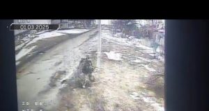 Очі та Жало вйо-day 28.02.25 (ВІДЕО) Очі та Жало вйо-day 28.02.25 (ВІДЕО)