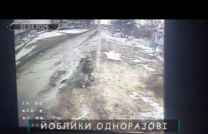 Очі та Жало вйо-day 28.02.25 (ВІДЕО) Очі та Жало вйо-day 28.02.25 (ВІДЕО)