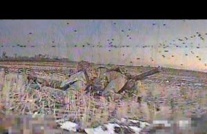 5000 хробаків за 7 місяців на Донбасі. Гума на попіхачку вам, а не Україна. (ВІДЕО) 5000 хробаків за 7 місяців на Донбасі. Гума на попіхачку вам, а не Україна. (ВІДЕО)