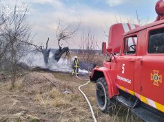 Спалювання сухостою – злочин! За підпал передбачено штрафи! Спалювання-сухостою-–-злочин!-За-підпал-передбачено-штрафи!