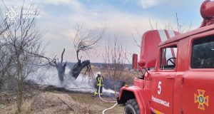 Спалювання сухостою – злочин! За підпал передбачено штрафи! Спалювання-сухостою-–-злочин!-За-підпал-передбачено-штрафи!