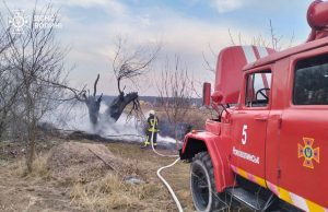 Спалювання сухостою – злочин! За підпал передбачено штрафи! Спалювання-сухостою-–-злочин!-За-підпал-передбачено-штрафи!