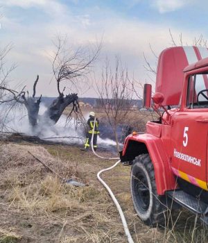 Спалювання-сухостою-–-злочин!-За-підпал-передбачено-штрафи!