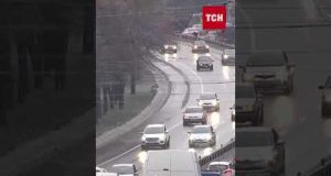 Тепла весна бере паузу! Українців попереджають про різке похолодання! (ВІДЕО) Тепла весна бере паузу! Українців попереджають про різке похолодання! (ВІДЕО)