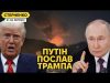 Перемирʼя не буде. Путін сміється з Трампа та висуває божевільні умови (ВІДЕО) Перемирʼя не буде. Путін сміється з Трампа та висуває божевільні умови (ВІДЕО)