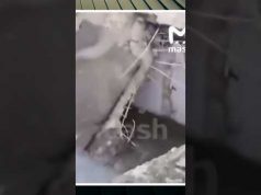 На Білгородщині НИЩАТЬ МОСТИ (ВІДЕО) На Білгородщині НИЩАТЬ МОСТИ (ВІДЕО)