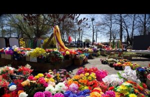 Жителі Нововолинська пояснюють, чому купують живі або штучні квіти (ВІДЕО) Жителі Нововолинська пояснюють, чому купують живі або штучні квіти (ВІДЕО)