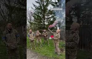 Для аеророзвідниці влаштували гендер-паті: вона дізналась стать онуки (ВІДЕО) Для аеророзвідниці влаштували гендер-паті: вона дізналась стать онуки (ВІДЕО)