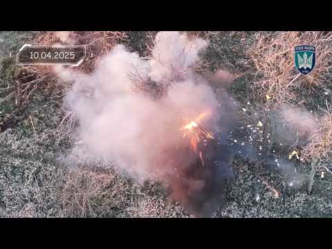 Просвітницький проєкт «13 йобликів.ввт», частина 33 (2 сезон) (ВІДЕО) Просвітницький проєкт «13 йобликів.ввт», частина 33 (2 сезон) (ВІДЕО)