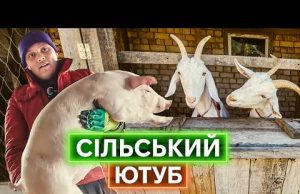 НОВА ЩИРІСТЬ УКРАЇНСЬКОГО СЕЛА: як порати худобу, знімати відео, сіяти розсаду і жити життя (ВІДЕО) НОВА ЩИРІСТЬ УКРАЇНСЬКОГО СЕЛА: як порати худобу, знімати відео, сіяти розсаду і жити життя (ВІДЕО)