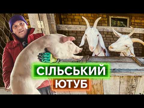 НОВА ЩИРІСТЬ УКРАЇНСЬКОГО СЕЛА: як порати худобу, знімати відео, сіяти розсаду і жити життя (ВІДЕО) НОВА ЩИРІСТЬ УКРАЇНСЬКОГО СЕЛА: як порати худобу, знімати відео, сіяти розсаду і жити життя (ВІДЕО)