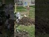 Стихійні захоронення цивільних у Покровську (ВІДЕО) Стихійні захоронення цивільних у Покровську (ВІДЕО)