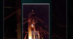 Партизани влаштували ДИВЕРСІЮ у Підмосков’ї (ВІДЕО) Партизани влаштували ДИВЕРСІЮ у Підмосков’ї (ВІДЕО)