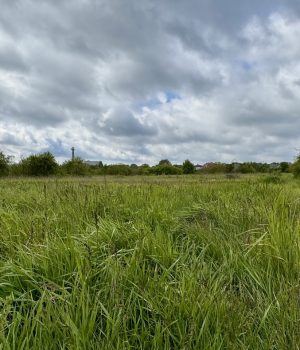 У-Нововолинську-продаються-ділянки-під-будівництво-таунхаусів