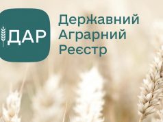 Стартував прийом заявок на дотацію за утримання корів Стартував-прийом-заявок-на-дотацію-за-утримання-корів