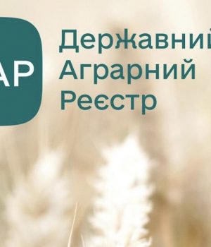 Стартував-прийом-заявок-на-дотацію-за-утримання-корів
